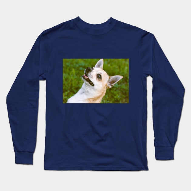 Chiwawa Long Sleeve T-Shirt by CATS ART